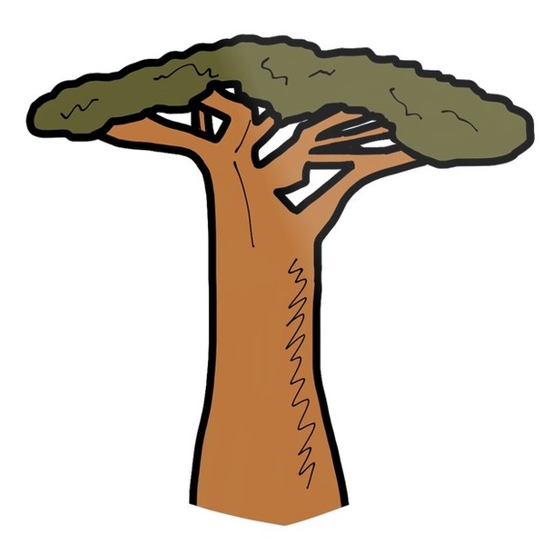 baobab.jpg